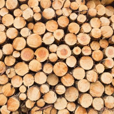 Raw timber logs — the beginning of every quality trim.