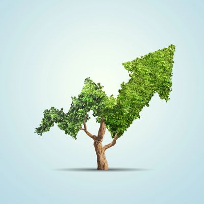 A tree shaped like an upward trending arrow made of green leaves.