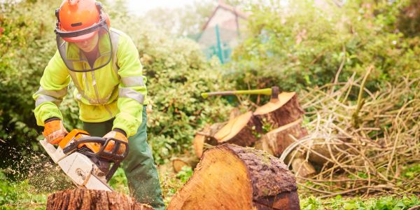 Person cutting wood with a chainsaw outdoors.