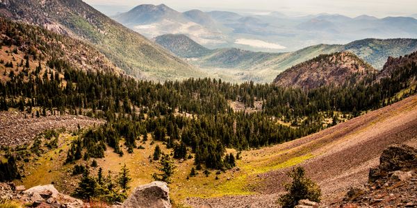 A forested valley in Arizona