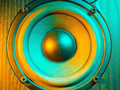 Blue and Gold speaker