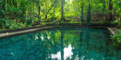Swimming pond Ometepe island in Nicaragua. Ometepe , Nicaragua

Ojo de Agua