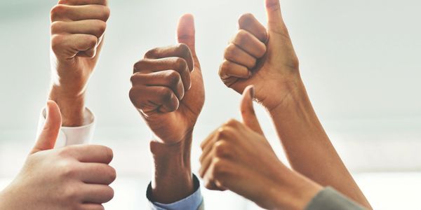 wood trim and molding repairs
home and boat repair services
reliable handyman Estero FL