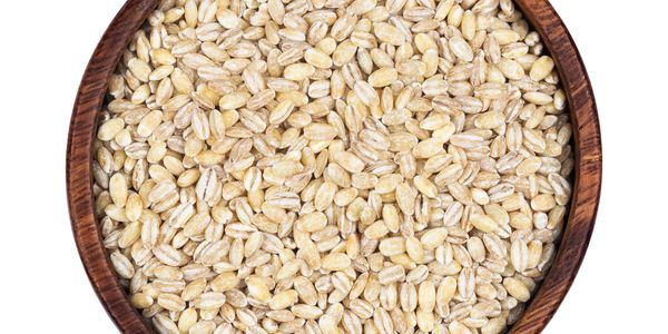 Wooden bowl filled with raw barley grains.