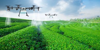 Drones spraying crops over a lush green field under a bright sky.