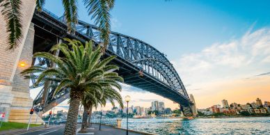 Sydney Harbour Bridge with palm tree at sunset.