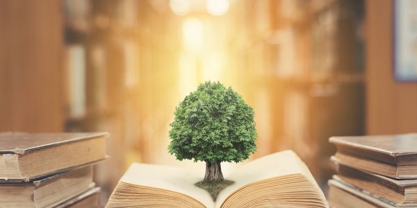 A tree growing from the center of an open book with blurred books in the background.