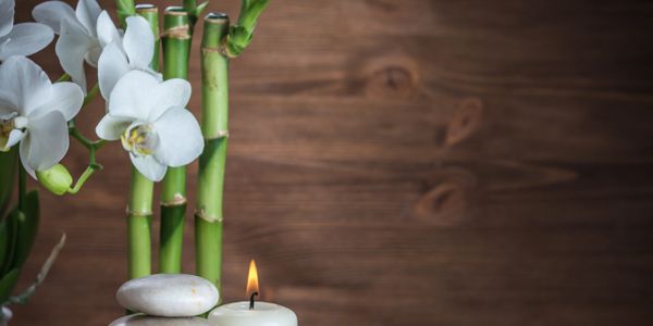 White orchids, bamboo stalks, and a lit candle create a serene spa setting.