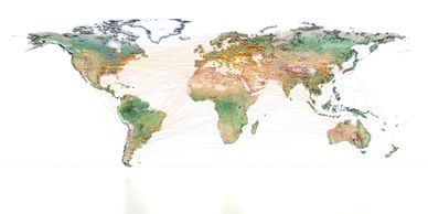 World map with global shipping or flight routes.