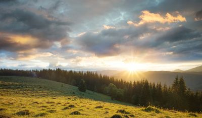 Farmhouse, agriturismo, pool, al fresco, dining, nature, france, south, retreat