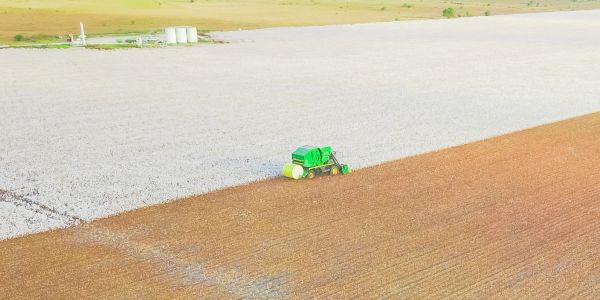 A green harvester working in a large cotton field from above.