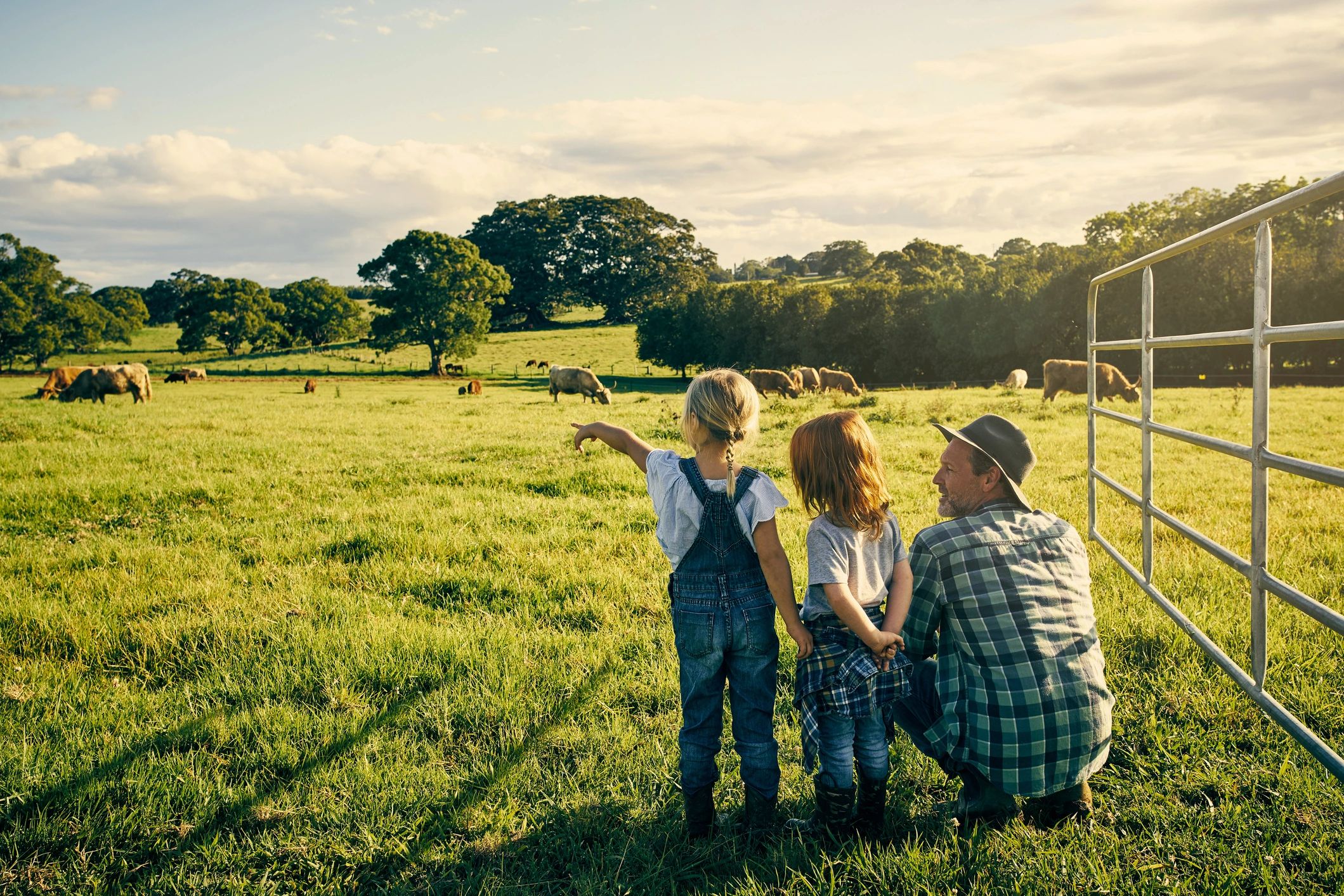 A man and two children watch cows in a green field.