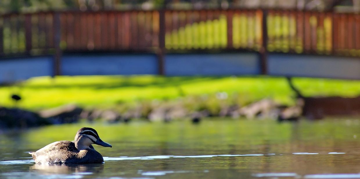 Emergency Garage Door Repairs Findlay Creek
Garage Door Installation 
Garage Door Services near me