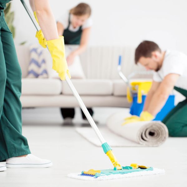 People cleaning a house.