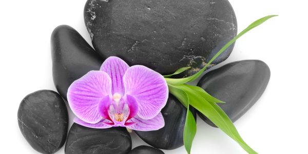 Purple orchid with green leaves on black stones, symbolizing relaxation and balance.