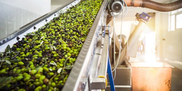 A colorful sunset over a serene beach with silhouettes of palm trees and gentle waves.