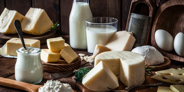Assortment of dairy products including milk, butter, and various cheeses.