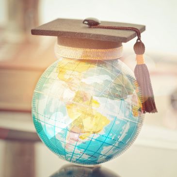 Study Aboard Consultant