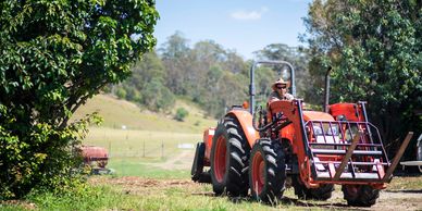 Person driving an orange tractor in a rural farm area.