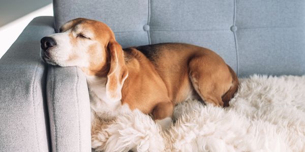 Air conditioning heat