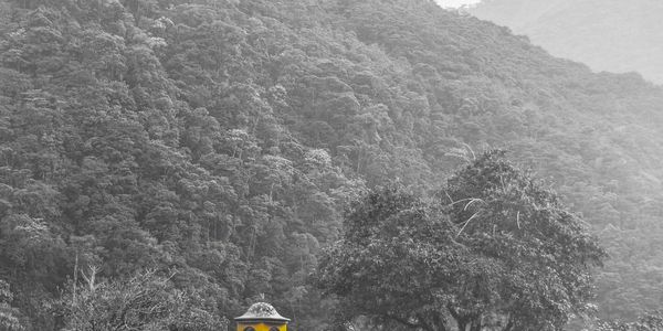 Yellow clock tower amidst lush green mountains and trees in a misty setting.