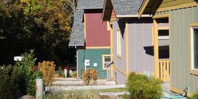 Colorful houses with autumn leaves and greenery under bright sunlight.