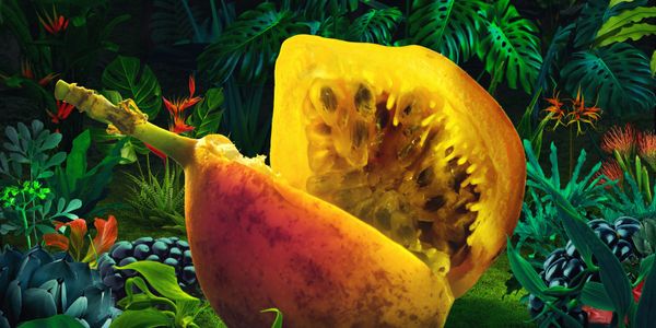 Close-up of a cut exotic fruit with tropical foliage background.