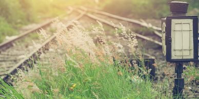 Sunlit railway tracks with overgrown grass and a signal box in the foreground.