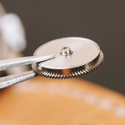 Tweezers holding a small metallic gear wheel.