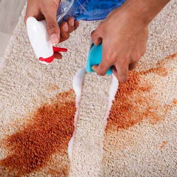 Cleaning a red stain on a beige carpet.