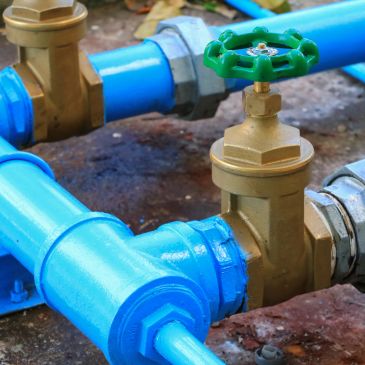 Close-up of blue water pipes with a brass valve and green handle.