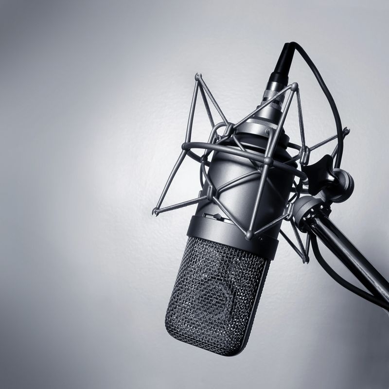 Black and white image of a studio microphone.