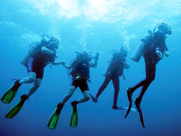Four scuba divers exploring underwater together.