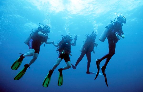 Four scuba divers exploring underwater, two holding hands.