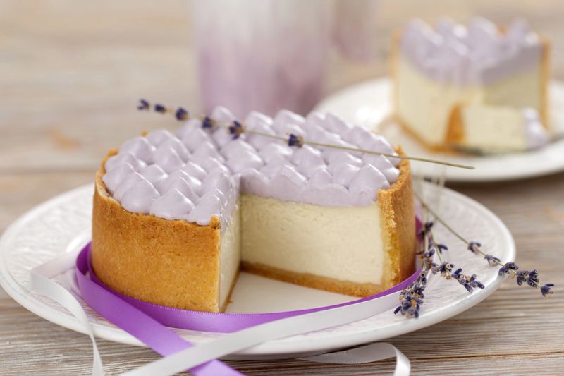 Cheesecake with a cut out piece on plate, closeup. Homemade cheesecake with lavender cream on plate. Selective focus.