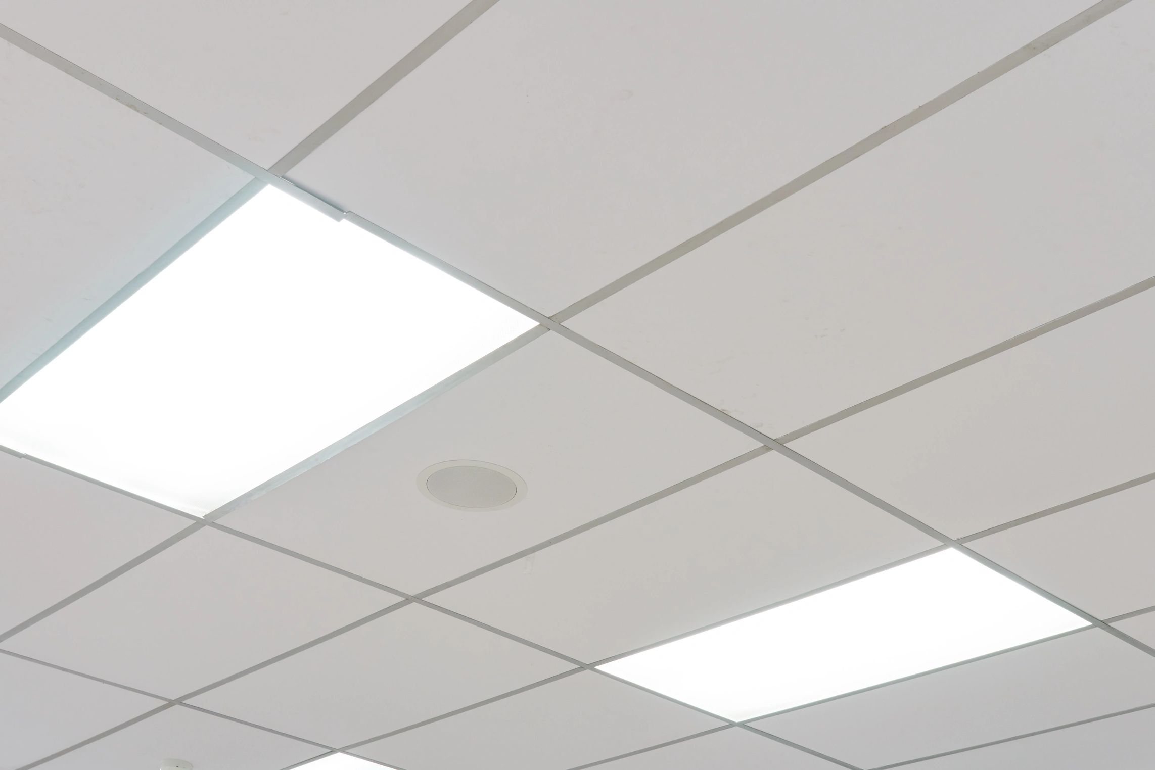 Ceiling with white panels and bright fluorescent lights.