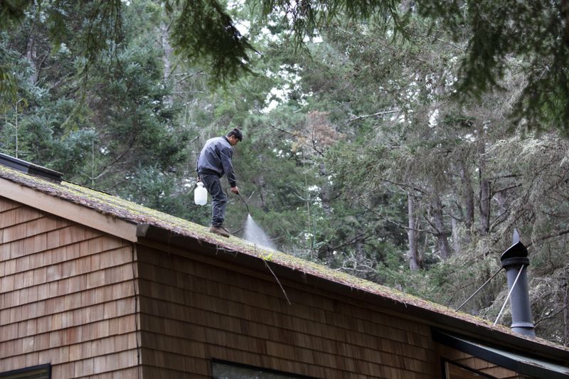 Man cleaning moss from roof with sprayer
