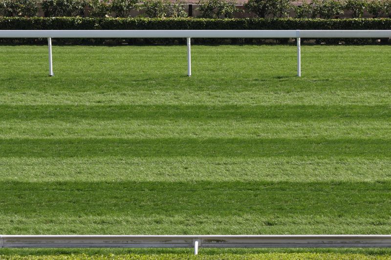Horse Racing Track