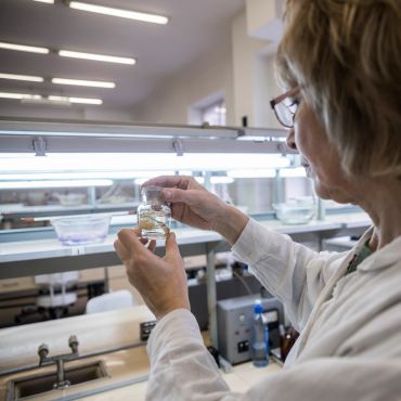 Scientist examining a sample in a laboratory under bright lights.