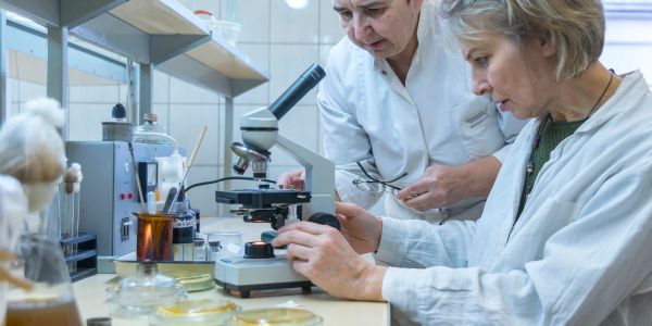 Two scientists examining samples using a microscope in a laboratory.