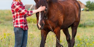 Person in plaid shirt petting a brown horse outdoors.