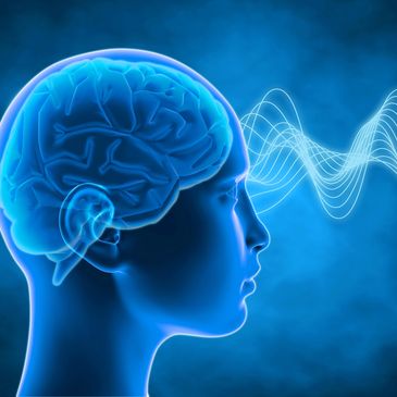 Brainwave