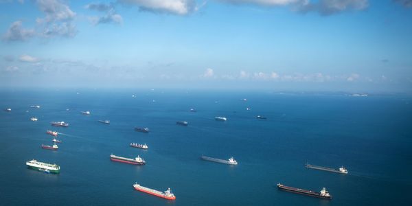 Numerous cargo ships scattered across a calm sea under a partly cloudy sky.