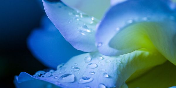 past life healing, soul healing, IRM Practitioner, Trauma Informed, Reiki,  Healing Circles, grief