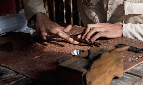 Hands preparing a cigar on a wooden table.