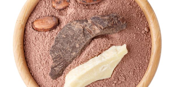 Bowl with cocoa powder, cocoa beans, and cocoa butter chunks.