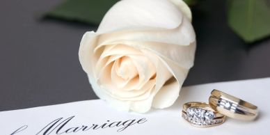 White rose with wedding rings on a marriage document.