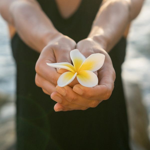 Person holding a yellow and white flower in their hands.