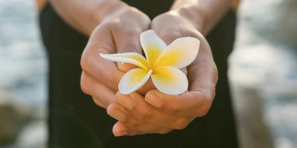 IRM Practitioner San Mateo San Francisco Tarot Advising Intuitive Coach Past Life Healing Reiki