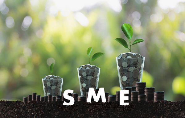 Coins growing with plants symbolizing SME growth.